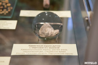 «Миллионы лет под землей»: в Тульском краеведческом музее открылась палеонтологическая выставка, Фото: 6