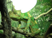 , Фото: 34