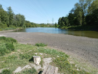 В Туле неожиданно обмелел пруд в Рогожинском парке, Фото: 3