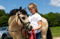А пони тоже кони: 9-летняя тулячка – числе лучших в конном спорте по выездке, Фото: 12