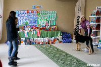 Выставка собак в Туле, Фото: 58