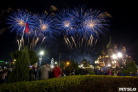 Фейерверк на День города в Туле, Фото: 8