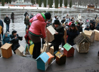 Птицы в городе-2015, Фото: 18