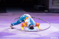 Звезды манежа в цирке, Фото: 155