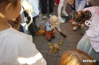 В Туле прошел IX Всероссийский фестиваль духовых оркестров «Фанфары Тульского кремля», Фото: 12