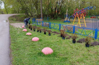 В Туле за сутки высадили около ста кленов, лип и рябин, Фото: 44