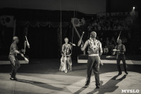 «Шоу Слонов» в Тульском цирке, Фото: 29