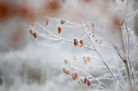 Тульский ноябрь, Фото: 7