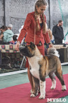 Выставка собак в Туле 26.01, Фото: 48