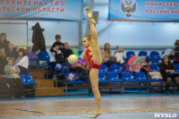 Соревнования по художественной гимнастике "Тульский сувенир", Фото: 80