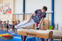 Мужская спортивная гимнастика в Туле, Фото: 30