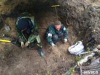 В Тульской области в лесу поисковики нашли захоронение артиллеристов и лошадей, Фото: 4