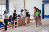Первенство ЦФО по спортивной гимнастике среди юниорок, Фото: 30