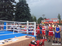 Турнир по боксу в Алексине, Фото: 29