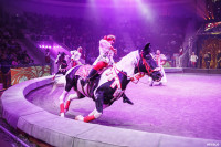 Шоу Гии Эрадзе «5 континентов» в Тульском цирке: феерия уже началась!, Фото: 108