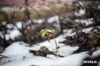 Декабрь – не повод закрывать грибной сезон: репортаж от тульского фотографа, Фото: 9