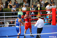 Матчевая встреча по боксу между спортсменами Тулы и Керчи. 13 сентября 2014, Фото: 13