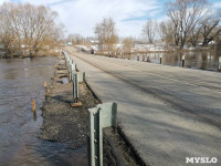 В Орлово Тульской области с подтопленного моста сошла вода, Фото: 13