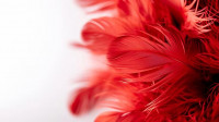 , Фото: 4