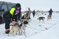 Праздник северных собак на Куликовом поле , Фото: 38