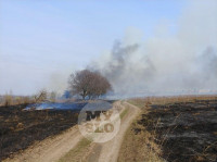 В Туле загорелось поле, Фото: 17