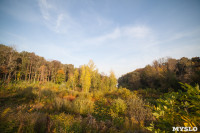 Золотая осень в Тульской области, Фото: 59