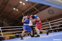 Финал турнира по боксу "Гран-при Тулы", Фото: 197
