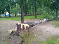 Комсомольский парк после шторма, Фото: 11