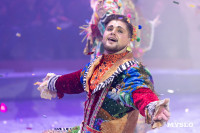 Цирковое шоу Жар птица, Фото: 84