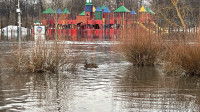 Затопленный Баташевский сад, Фото: 9