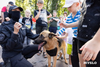 «Школодром-2025», Фото: 239