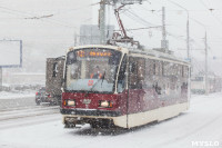 Мартовский снегопад в Туле, Фото: 29