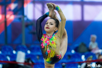 Тула провела крупный турнир по художественной гимнастике, Фото: 92