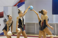 В Туле стартовало первенство Центрального федерального округа по художественной гимнастике, Фото: 32