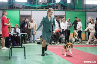 Выставка собак в Туле, Фото: 192