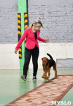 Выставка собак в Туле , Фото: 51