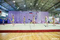 Всероссийские соревнования по художественной гимнастике на призы Посевиной, Фото: 162