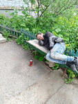 Пьяницы захватили двор пятиэтажек на ул. Металлургов в Туле, Фото: 2