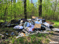 Туляки: Щегловская засека превращается в свалку мусора, Фото: 8