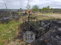 Сгоревшее кладбище в Алексине, Фото: 26