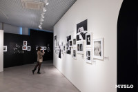 В тульском Фонде искусств открылась выставка, посвященная Майе Плисецкой, Фото: 16