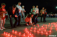 Акция "Свеча памяти" в ЦПКиО имени Белоусова, Фото: 43
