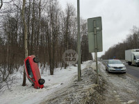 Под Тулой Opel «залез» на дерево, Фото: 1