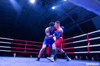 В Туле прошли финальные бои Всероссийского турнира по боксу, Фото: 106