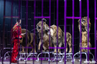 Шоу фонтанов «13 месяцев»: успей увидеть уникальную программу в Тульском цирке, Фото: 221