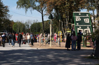 Дмитрий Миляев о ремонте сквера им. Л.Н. Толстого: «Люди довольны качеством –это самое главное», Фото: 6