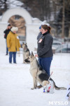 В Туле прошла Всероссийская выставка собак, Фото: 6