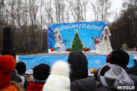 Открытие елки на площади искусств. 19.12.2014, Фото: 55