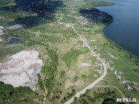 В Черепетском водохранилище массово погибла рыба, Фото: 1