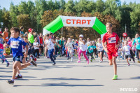 В Центральном парке прошел "Тульский марафон 2017", Фото: 273